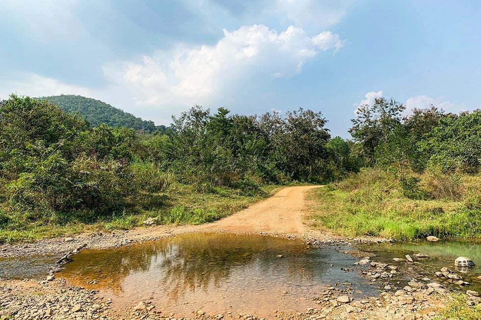 Kui Buri National Park - Olifant safari in Thailand