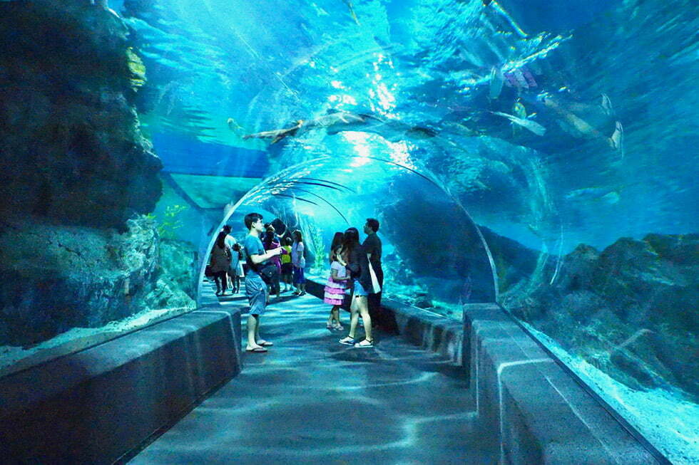 Bangkok Aquarium Winkelcentrum